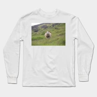 Icelandic sheep on an open pasture Long Sleeve T-Shirt